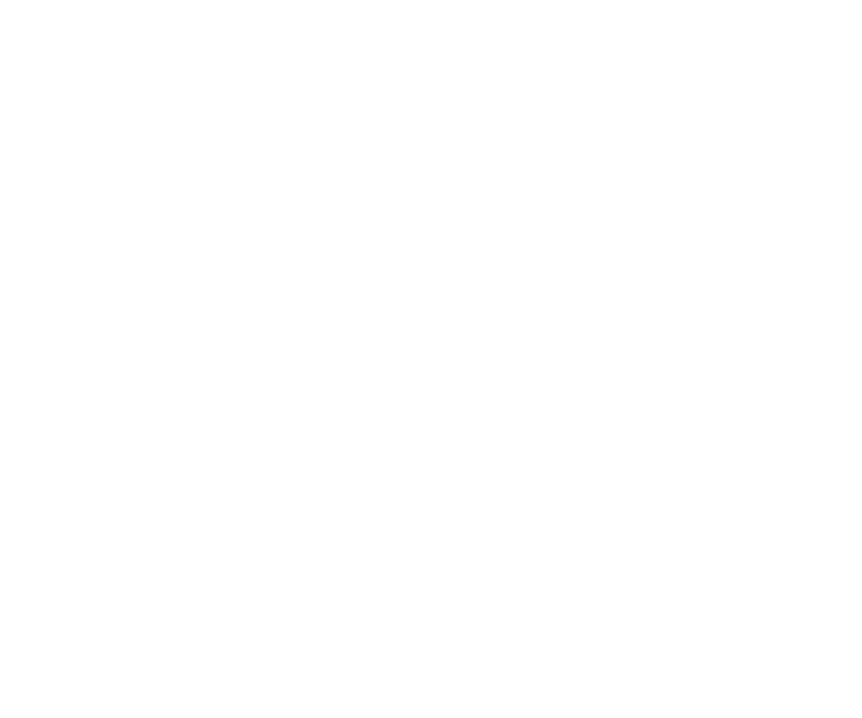 OBS Transportes