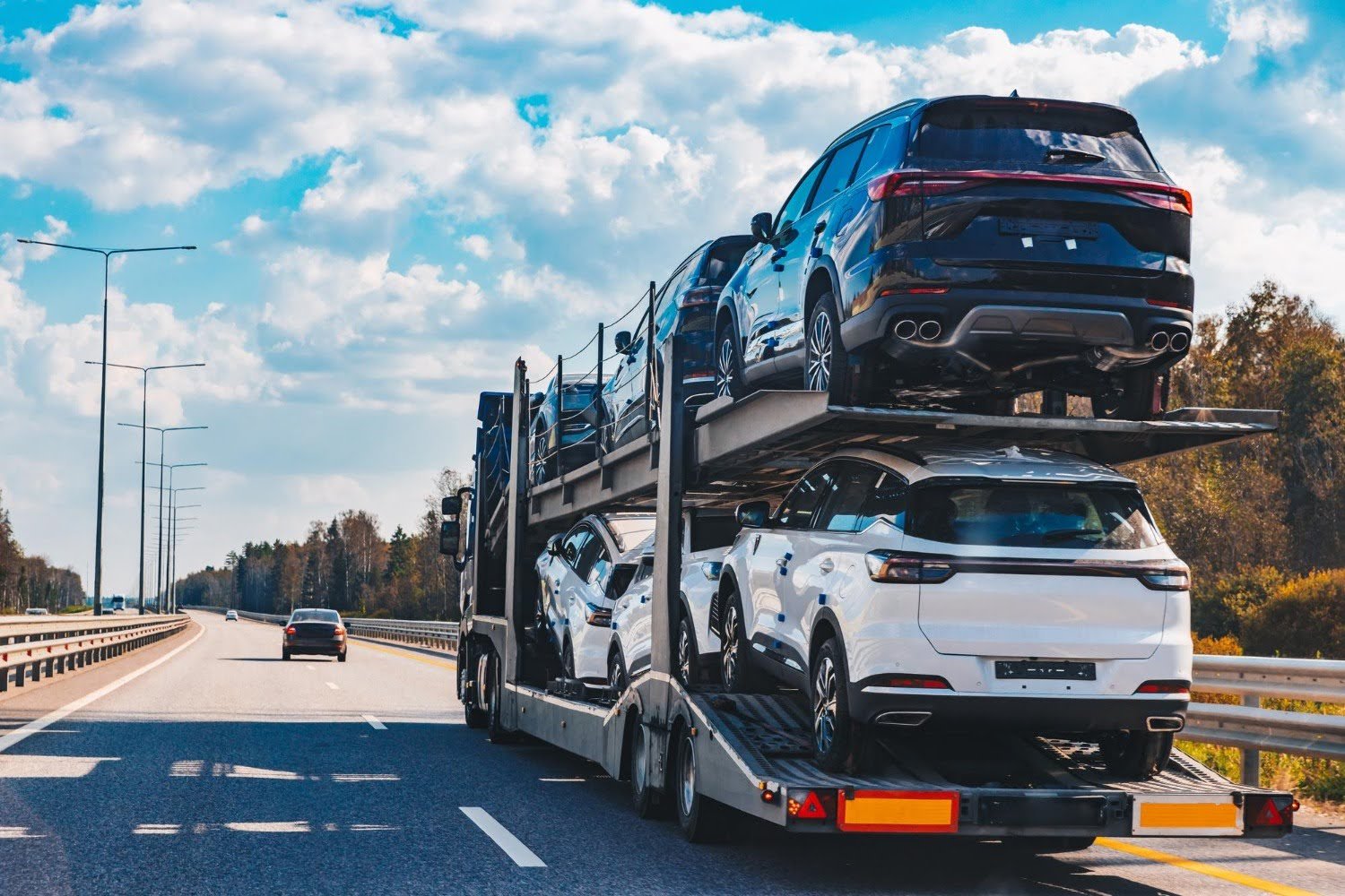 transporte por cegonha